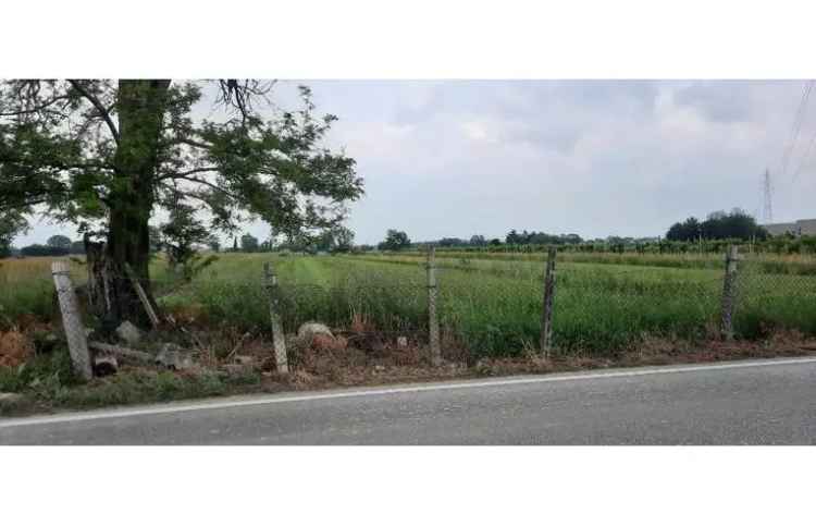 Terreno Agricolo/Coltura in vendita a Villafranca di Verona