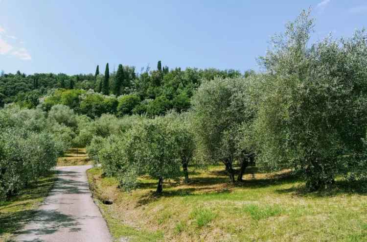 Terratetto unifamiliare via Livornese, Centro, Lastra a Signa