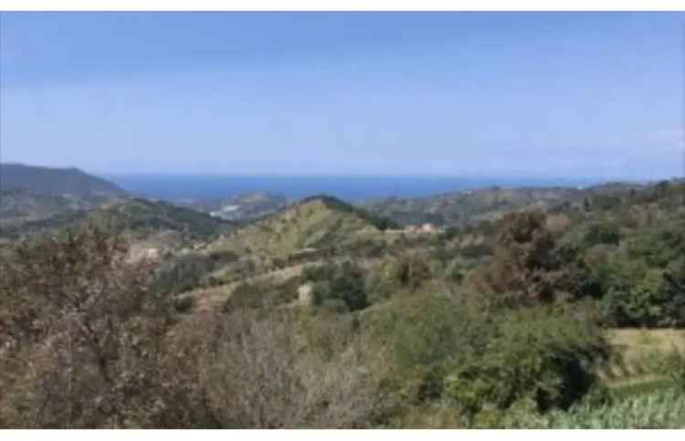 Terreno Agricolo/Coltura in vendita a Prignano Cilento