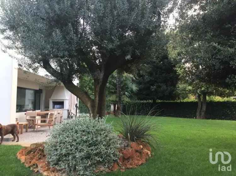 Vendita villa 14 locali di 450 m² in Stra (30039) - 129418 - iad