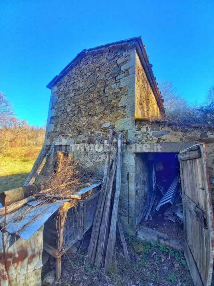 Cascina via Fosso Serpentaio,, Santa Fiora