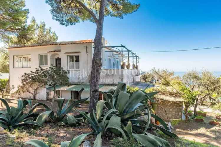 Splendida villa panoramica con giardino ad Anacapri