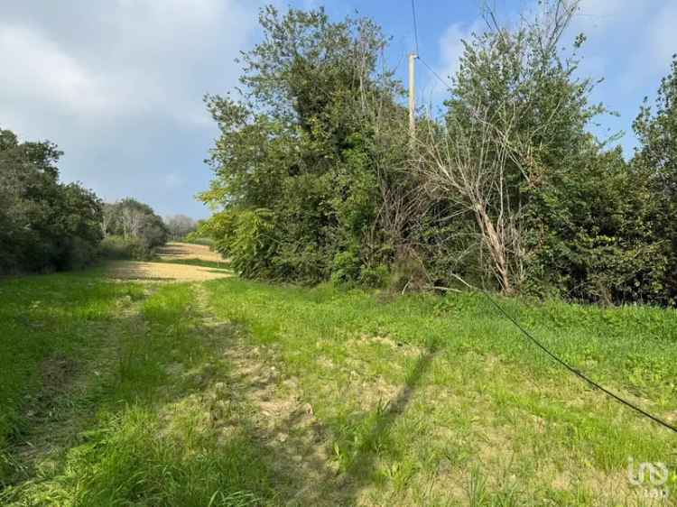 Vendita rustico 5 locali di 240 m² in Agugliano (60020) - 129859 - iad