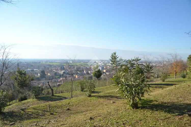 Ter. agricolo in vendita