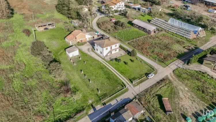 Vendita casa 5 locali di 180 m² in Codigoro (44021) - 130950 - iad