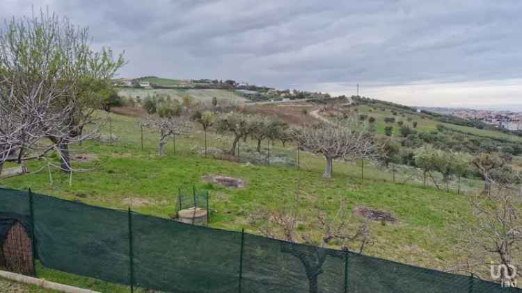 Vendita terreno di 1.545 m² in Tortoreto (64018) - 115198 - iad