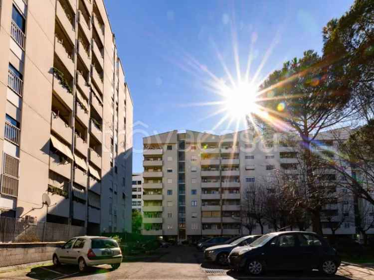 Appartamento in in affitto da privato a Roma viale Fernando Santi, 86