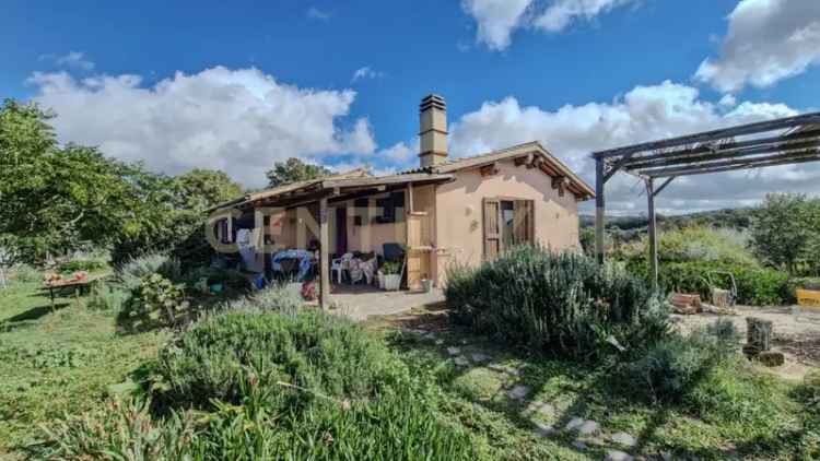 Villa in SP159 67, Scansano, 6 locali, 2 bagni, giardino privato