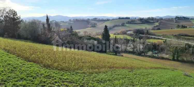 Casale Strada Gavella, Candelara, Pesaro