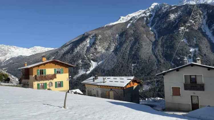 Terratetto plurifamiliare Località Massaniga, Valdisotto