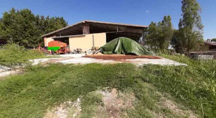 CAPANNONE CON TERRENO AGRICOLO