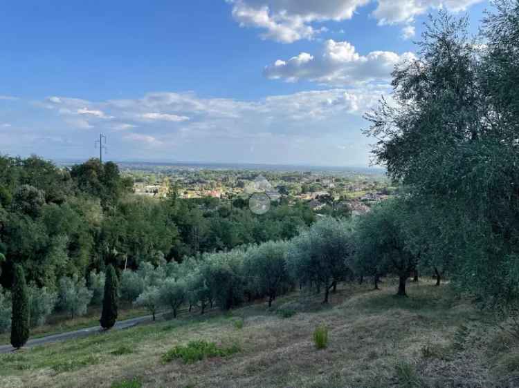 Ter. agricolo in vendita