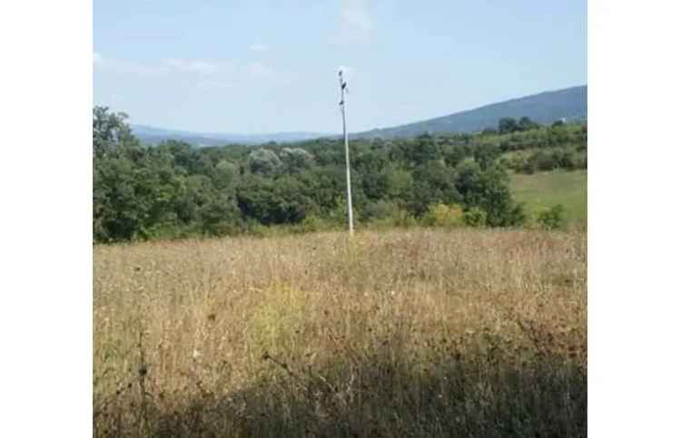 Terreno Agricolo/Coltura in vendita a San Polo Matese