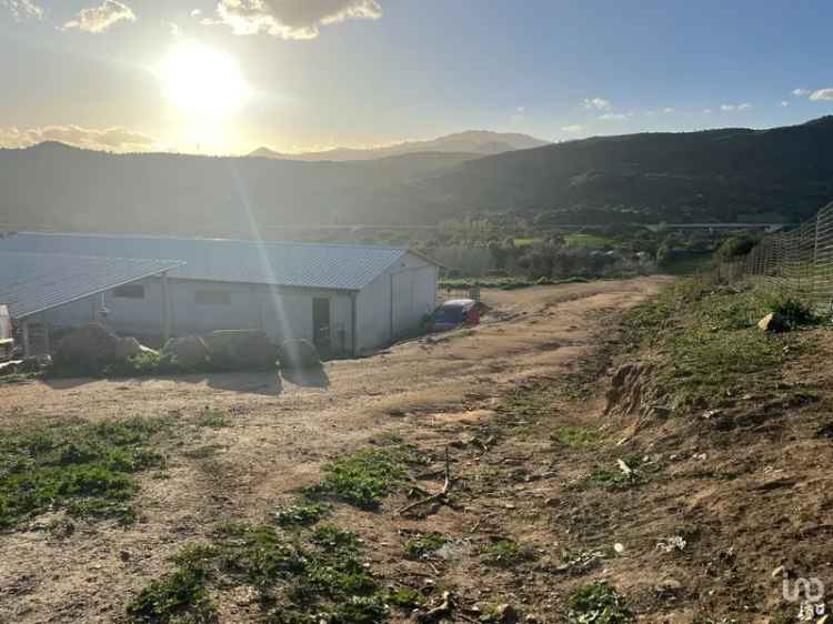 Vendita terreno di 68.000 m² in Tortolì (08048) - 134050 - iad