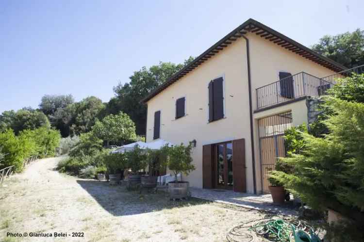 Villa in Vocabolo Pupigliano 25, Alviano, 9 locali, 5 bagni, 250 m²