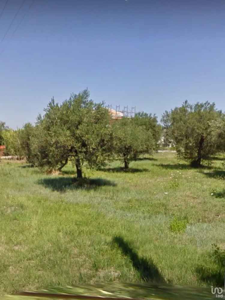 Vendita terreno di 11.000 m² in Ortona (66026) - 108896 - iad