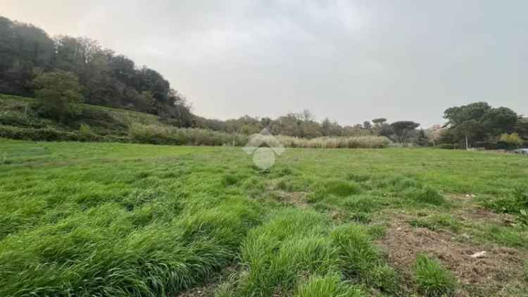 Ter. agricolo in vendita