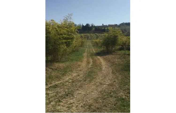 Terreno Agricolo/Coltura in vendita a Faenza, Via Tebano 95