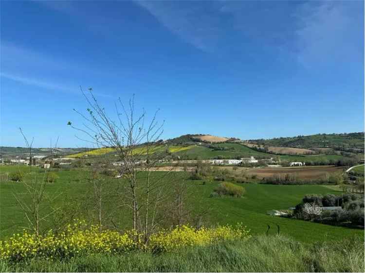 Appartamento Abbadia, Abbadia, Osimo