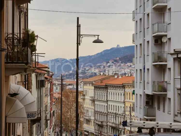 Appartamento in in affitto da privato a Trieste via del Molino a Vento, 35