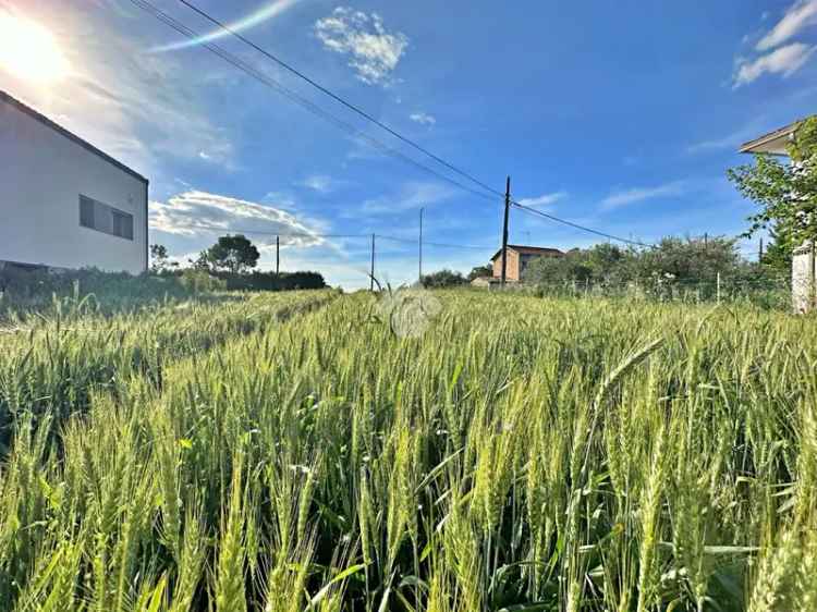 Ter. agricolo in vendita