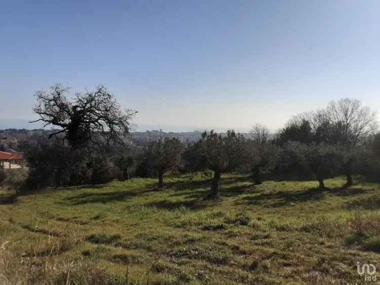 Vendita terreno di 1.947 m² in Tortoreto (64018) - 68165 - iad