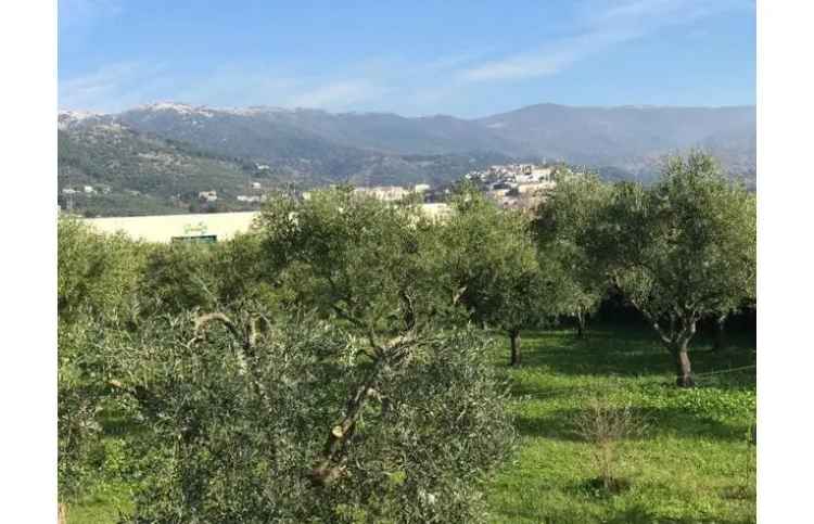 Terreno Edificabile Commerciale in vendita a Cori, Via della Stazione di Cori 41