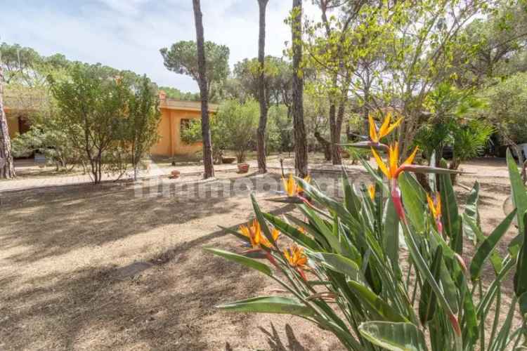 Villa unifamiliare Comunione Pineta Is Morus, Santa Margherita Di Pula, Pula