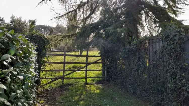 Terreno edificabile in Via Vigna Di Valle, 00, Manziana (RM)