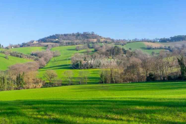 Terratetto unifamiliare Località Asola 1, Montecosaro