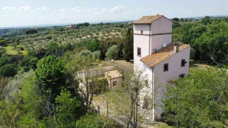 Casale Strada del Salamaro, Carmine - Pietrare, Viterbo