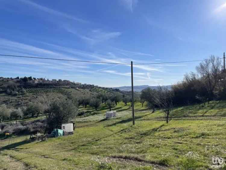 Vendita terreno di 1.450 m² in Notaresco (64024) - 89117 - iad