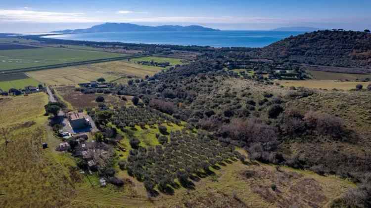 Villa unifamiliare Strada vicinale dei Bagnacci snc, Orbetello