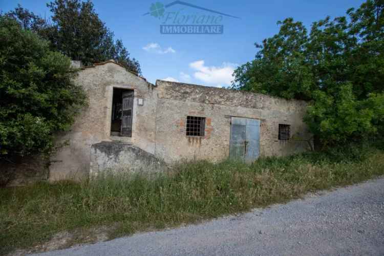 Rustico Strada Marruchetone, Capalbio