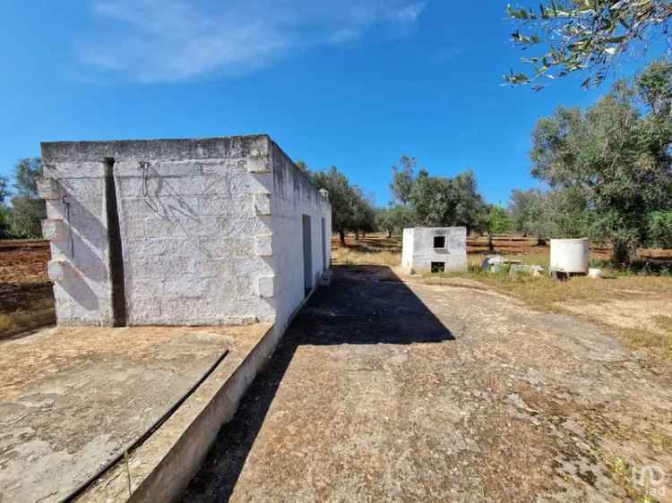 Vendita rustico 2 locali di 28 m² in Latiano (72022) - 121832 - iad