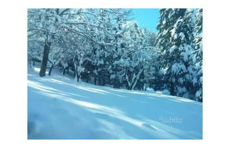 Affitto Appartamento Vacanze a Sestola