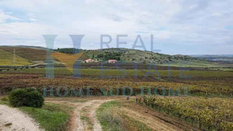 Casale via Agrigento, Cattolica Eraclea