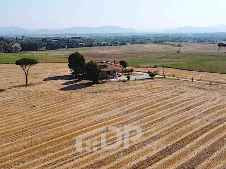 Appartamento in affitto a Monterotondo strada Provinciale Pascolare