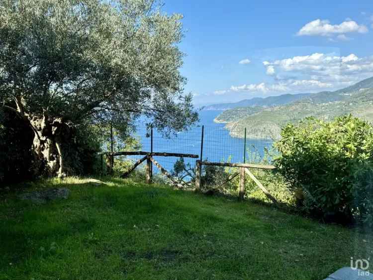 Vendita casa indipendente 5 locali di 101 m² in Levanto (19015) - 128494 - iad