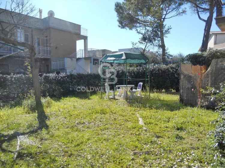 Villa in Via Poseidone, Tarquinia, 3 locali, 1 bagno, giardino privato