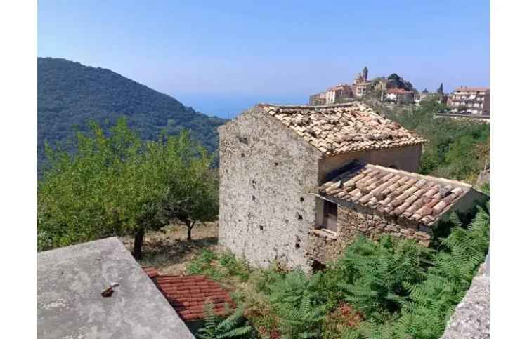 Terreno Agricolo/Coltura in vendita a Belmonte Calabro