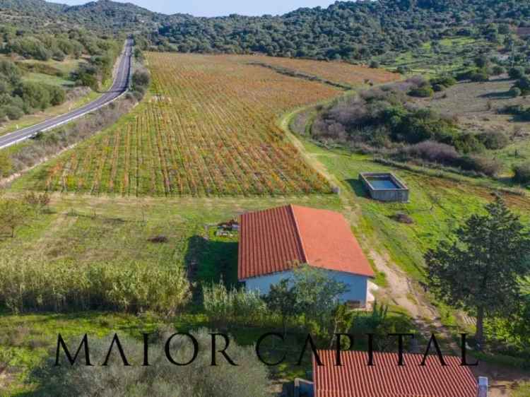 Terreno Agricolo in vendita a Oliena