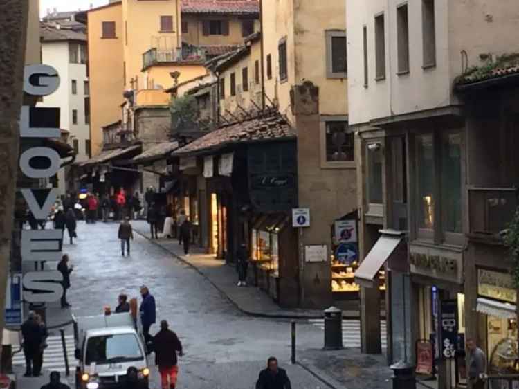 Appartamento in in affitto da privato a Firenze piazza Santo Stefano, 2