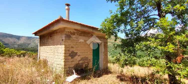 Ter. agricolo in vendita