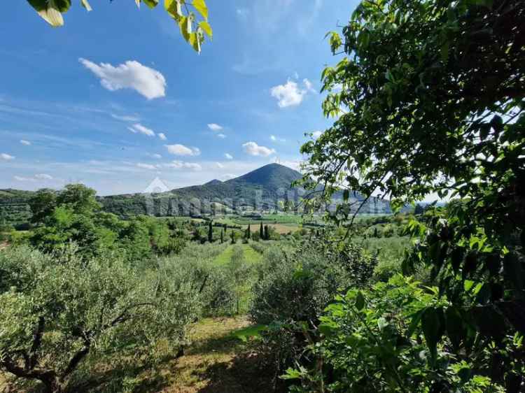 Terratetto unifamiliare via tormene, Baone