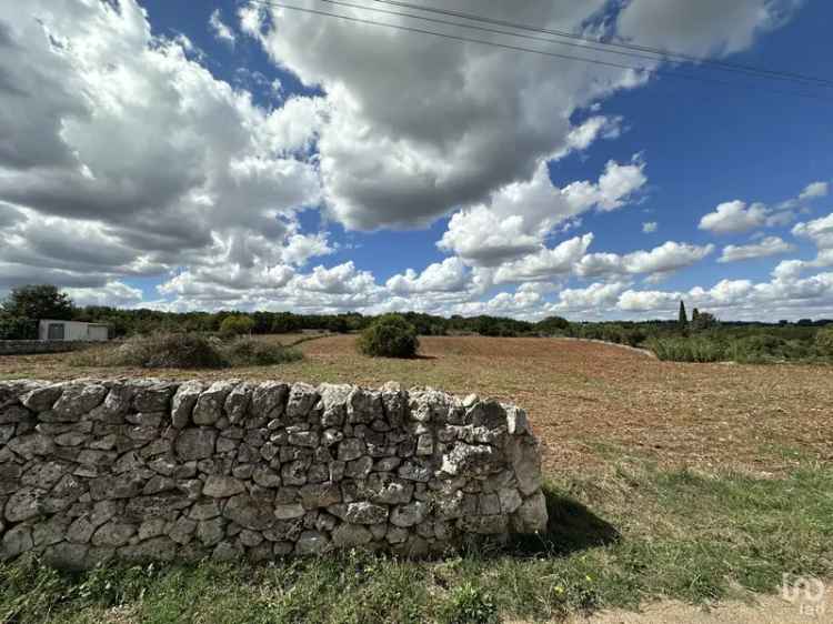 Vendita terreno di 9.000 m² in Martina Franca (74015) - 127111 - iad