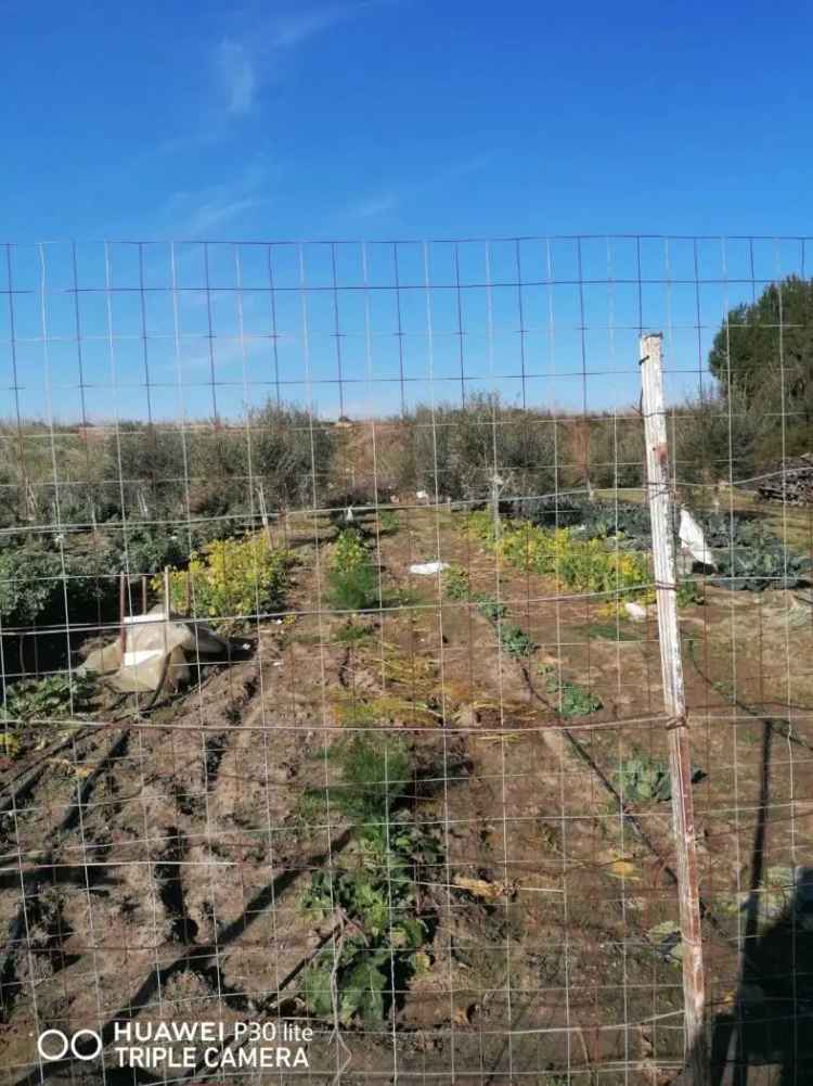 Villetta a Barletta Villaggio Fiumara 50 mq Giardino e Terreno