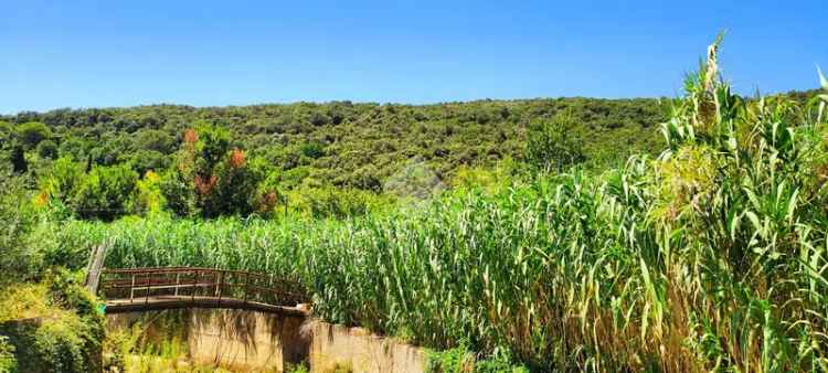 Ter. agricolo in vendita