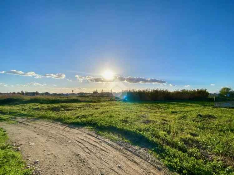 Ter. agricolo in vendita