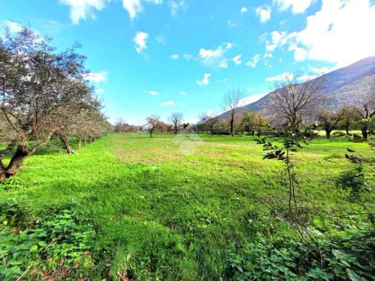 Ter. agricolo in vendita